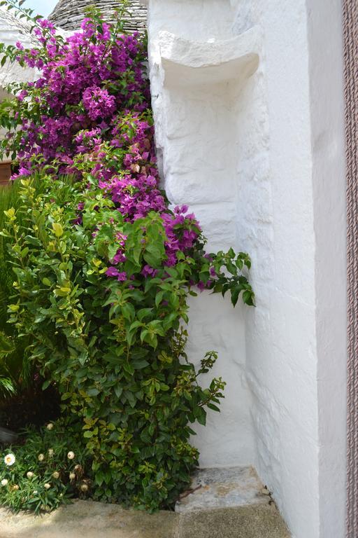 Trulli Aia Piccola Villa Alberobello Exterior foto